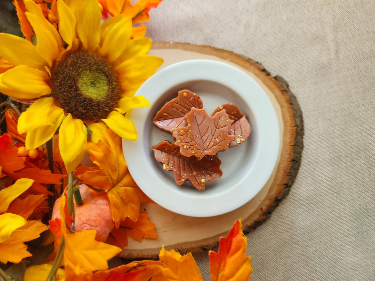 Autumn Day Wax Melts