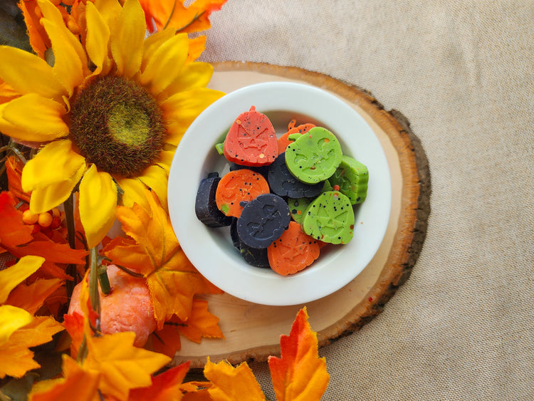 Blueberry Pumpkin Patch Wax Melts