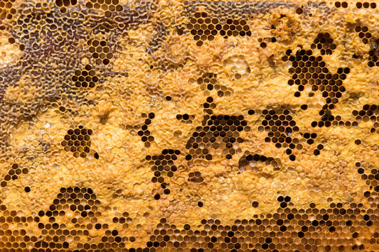 Is Beeswax Good for Dry Lips? Here's What to Know