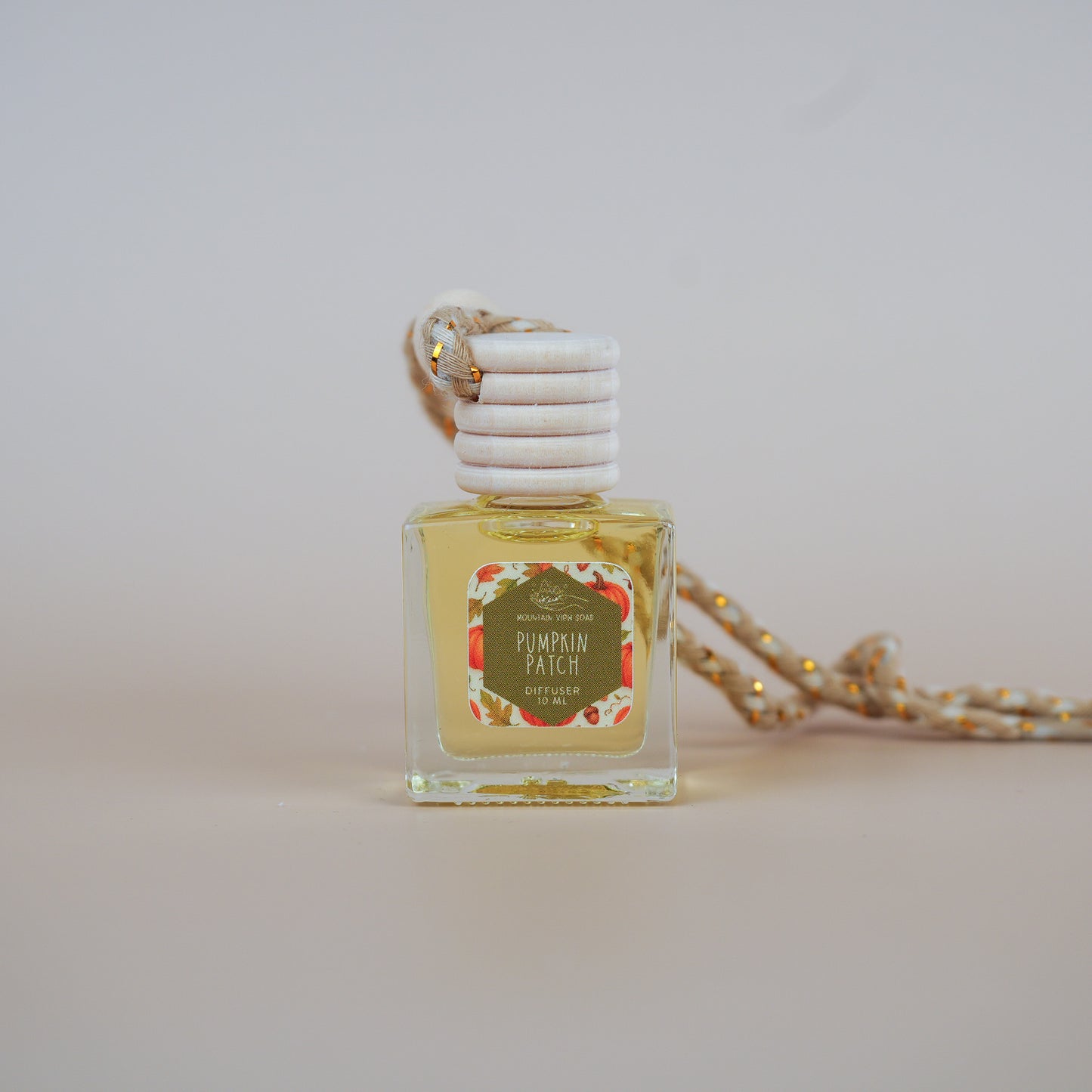 🚗 Fall Car Diffusers