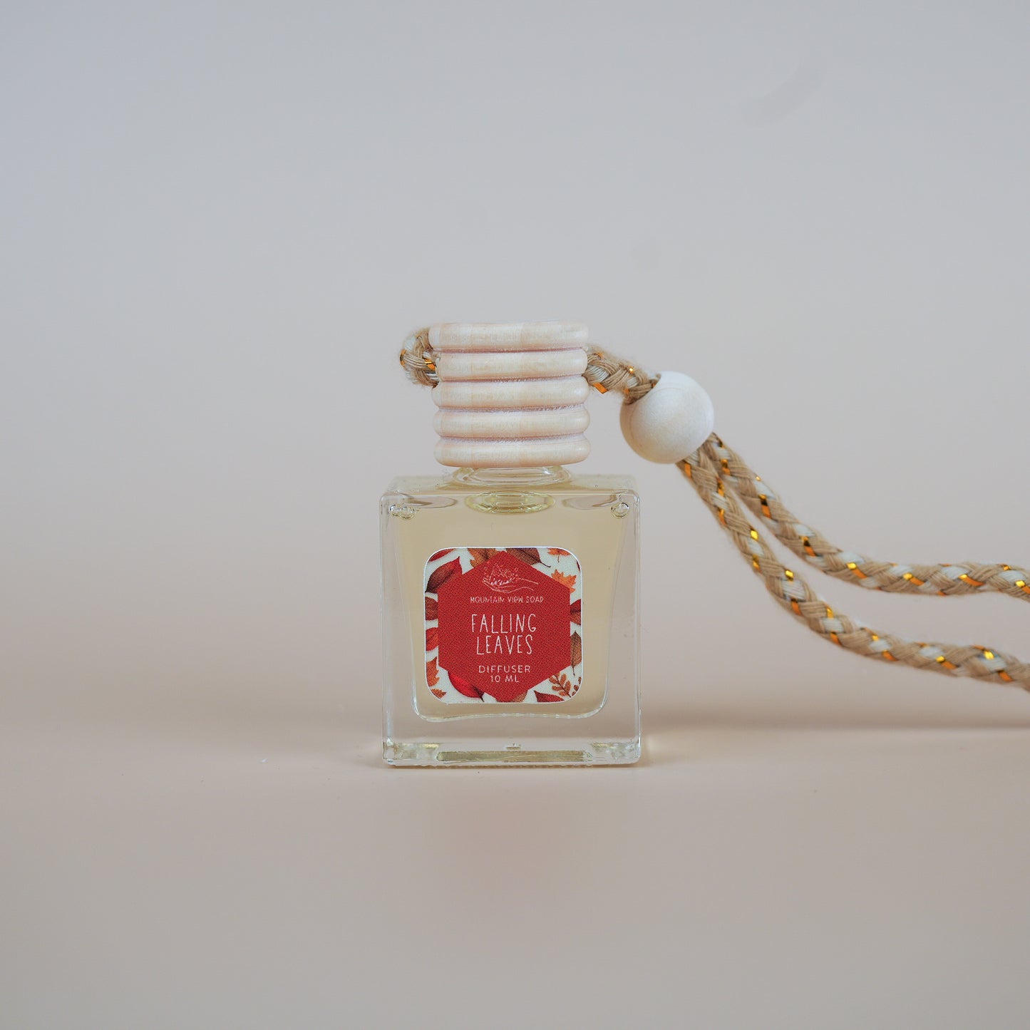 🚗 Fall Car Diffusers