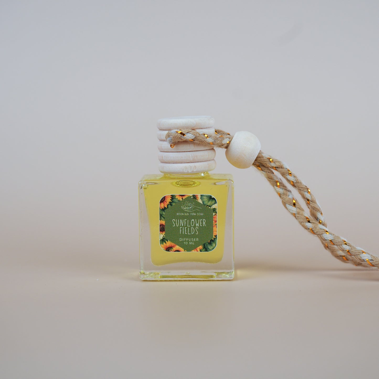 🚗 Fall Car Diffusers