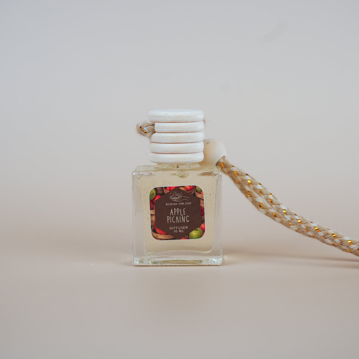 🚗 Fall Car Diffusers